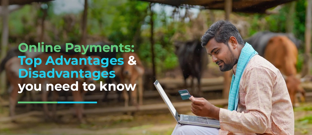 Online Payments Advantages and Disadvantages